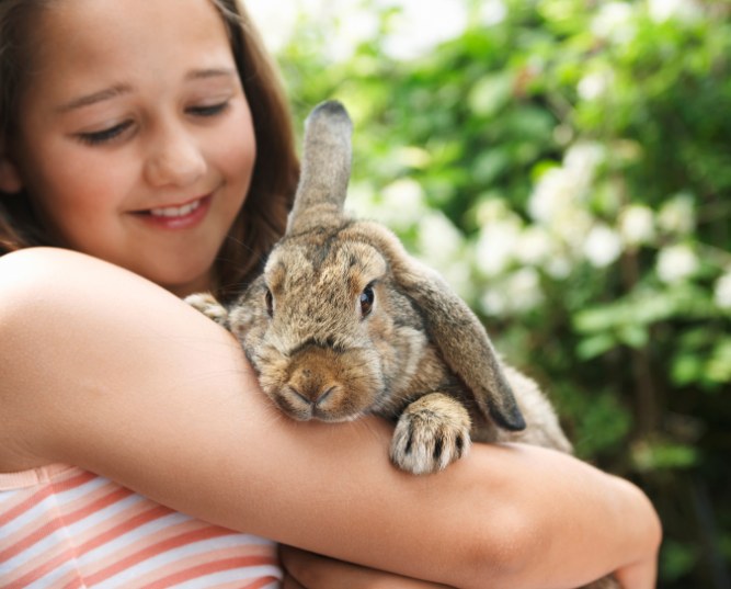Girl holding rabbit